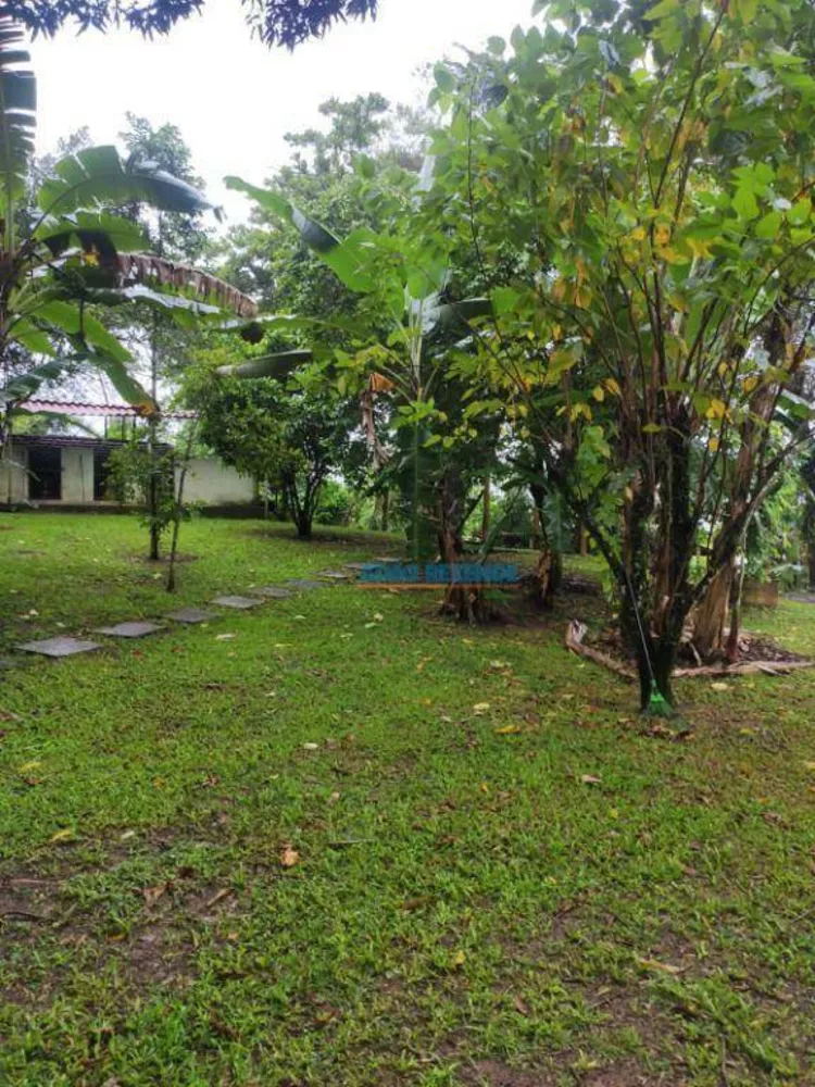 Sítio, 3 quartos, 4000 m² - Foto 20