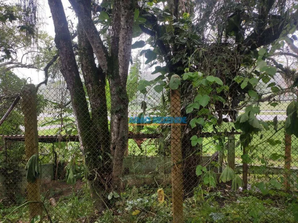 Sítio, 3 quartos, 4000 m² - Foto 21