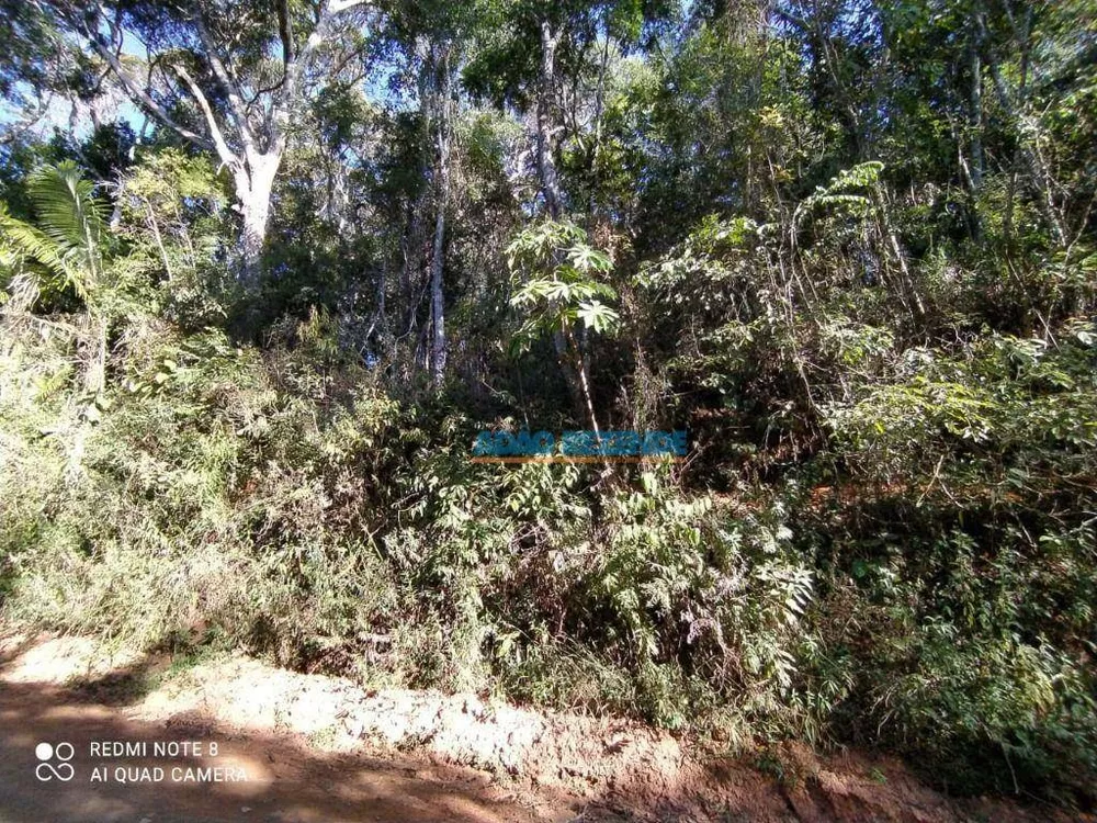 Terreno, 2980 m² - Foto 2