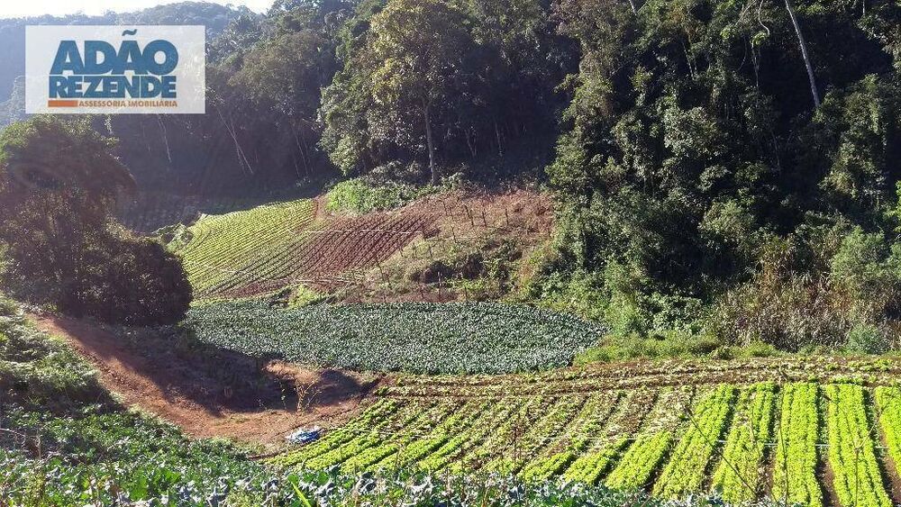 Sítio à venda com 2 quartos, 152000M2 - Foto 1