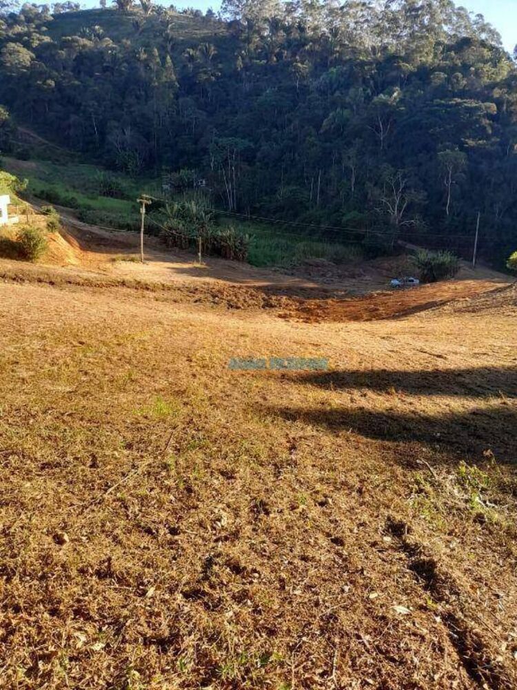 Sítio à venda com 2 quartos, 152000M2 - Foto 4