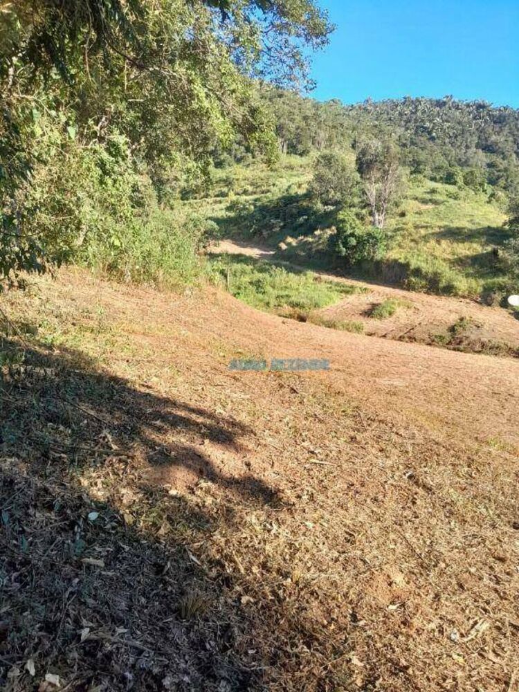 Sítio à venda com 2 quartos, 152000M2 - Foto 5
