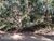 Terreno, 3000 m² - Foto 1