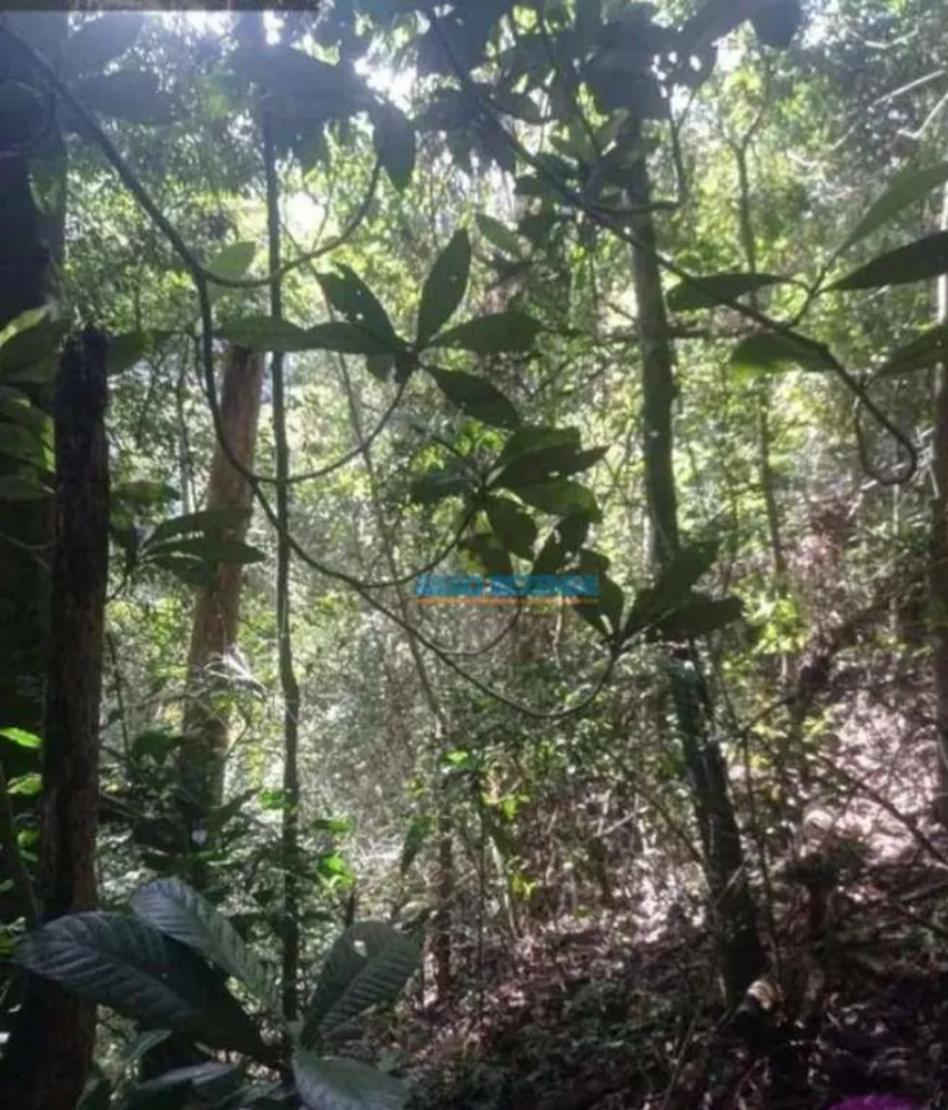 Terreno, 22 hectares - Foto 3