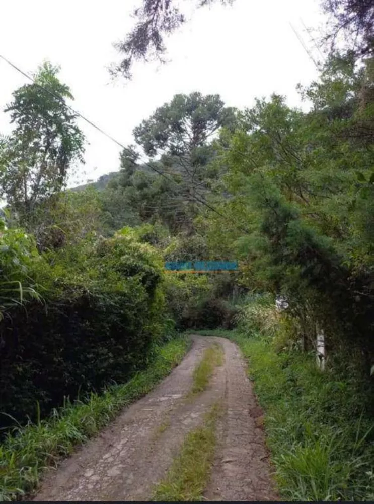 Terreno, 22 hectares - Foto 4