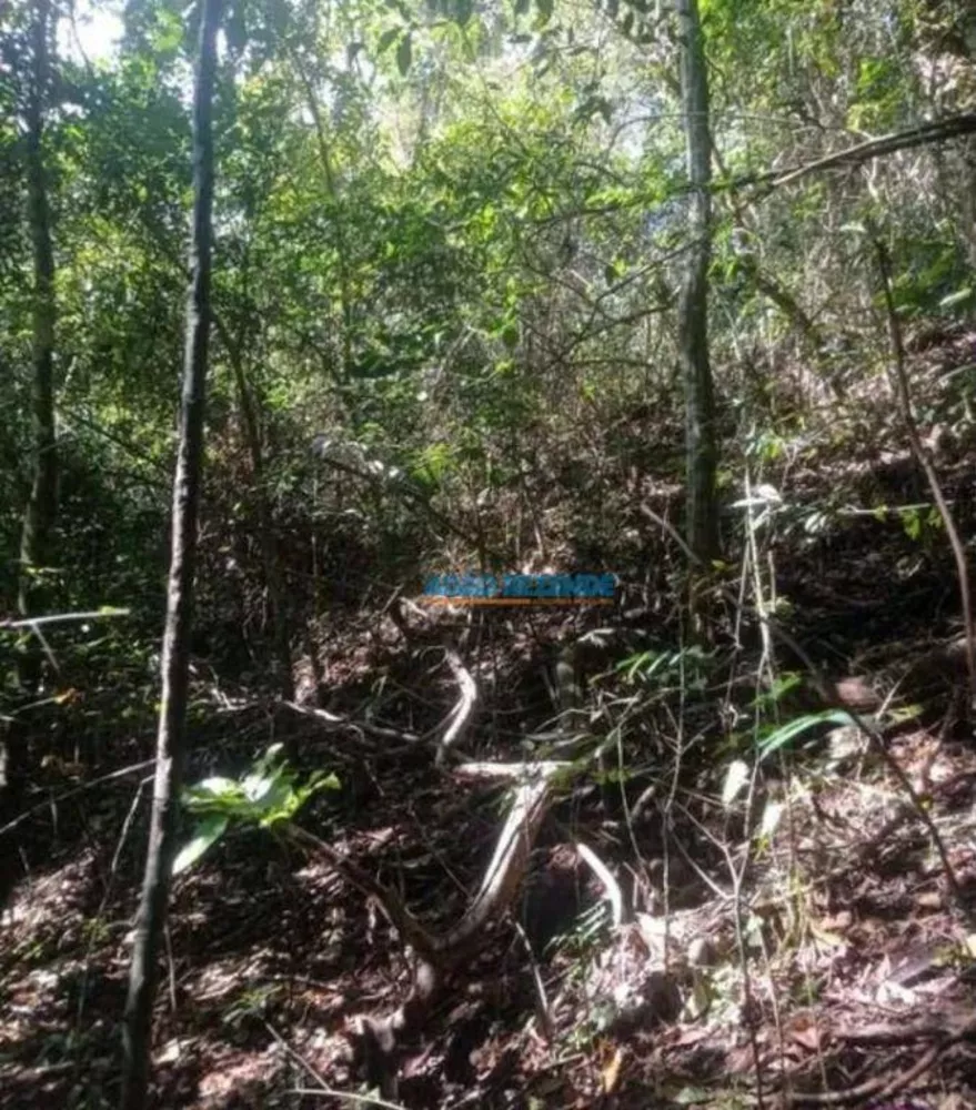 Terreno, 22 hectares - Foto 1
