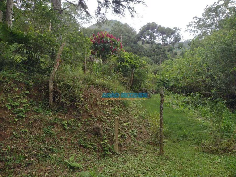 Terreno, 22 hectares - Foto 8