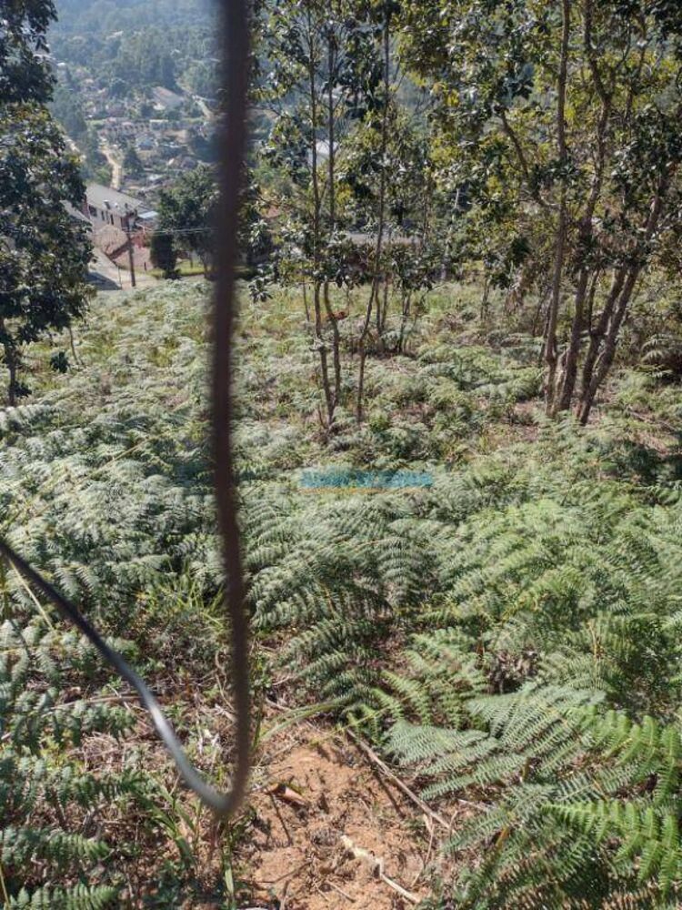 Loteamento e Condomínio à venda, 325M2 - Foto 3