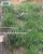 Terreno, 420 m² - Foto 3