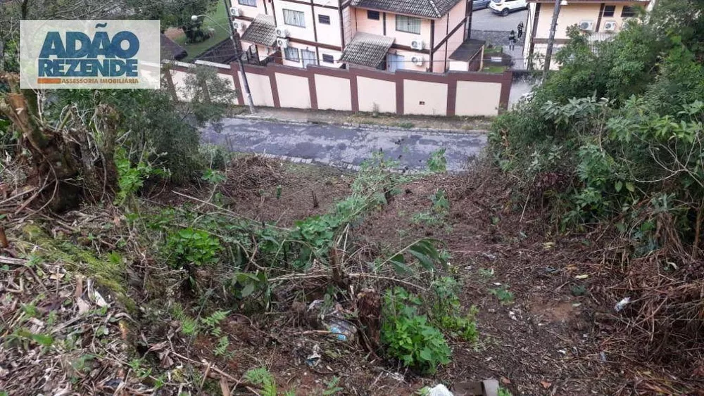 Terreno, 239 m² - Foto 2