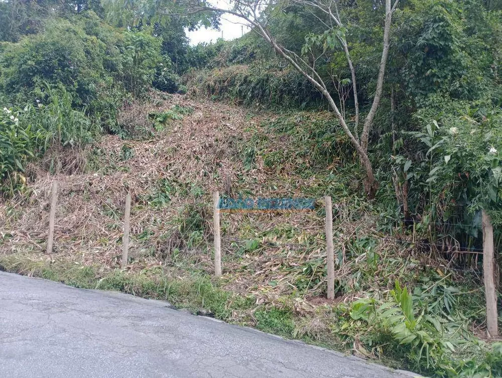 Terreno, 239 m² - Foto 1