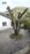 Casa, 4 quartos, 105 m² - Foto 4