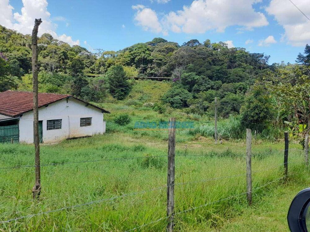 Fazenda, 44 hectares - Foto 37