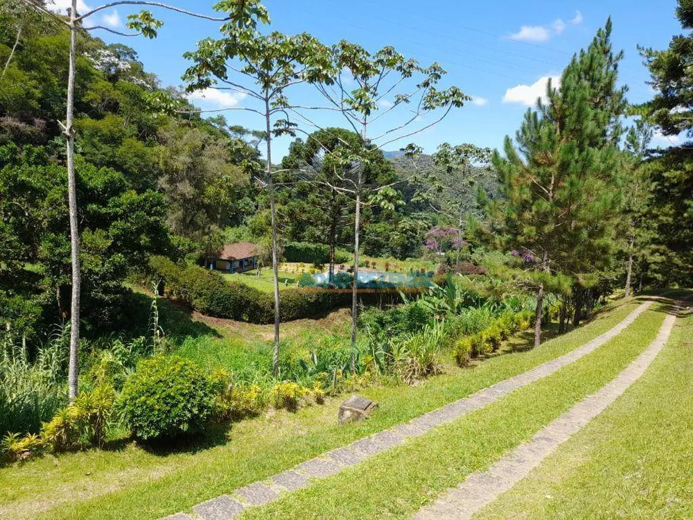 Fazenda, 44 hectares - Foto 27