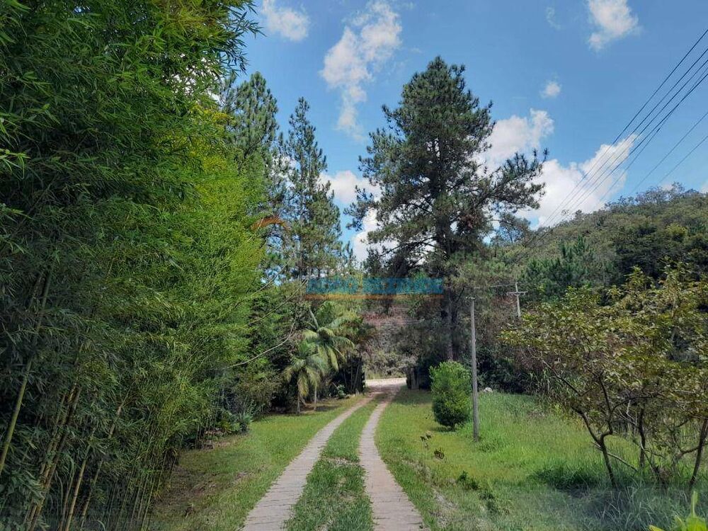 Fazenda, 44 hectares - Foto 39