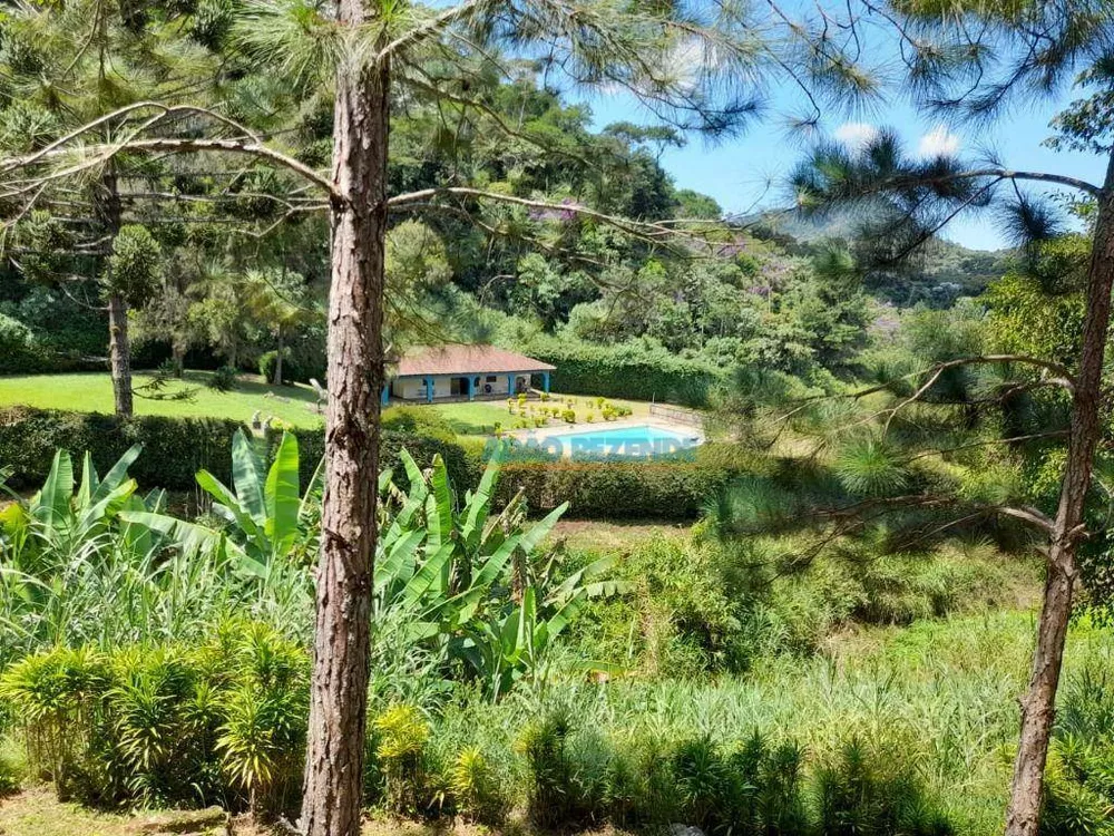 Fazenda, 44 hectares - Foto 26