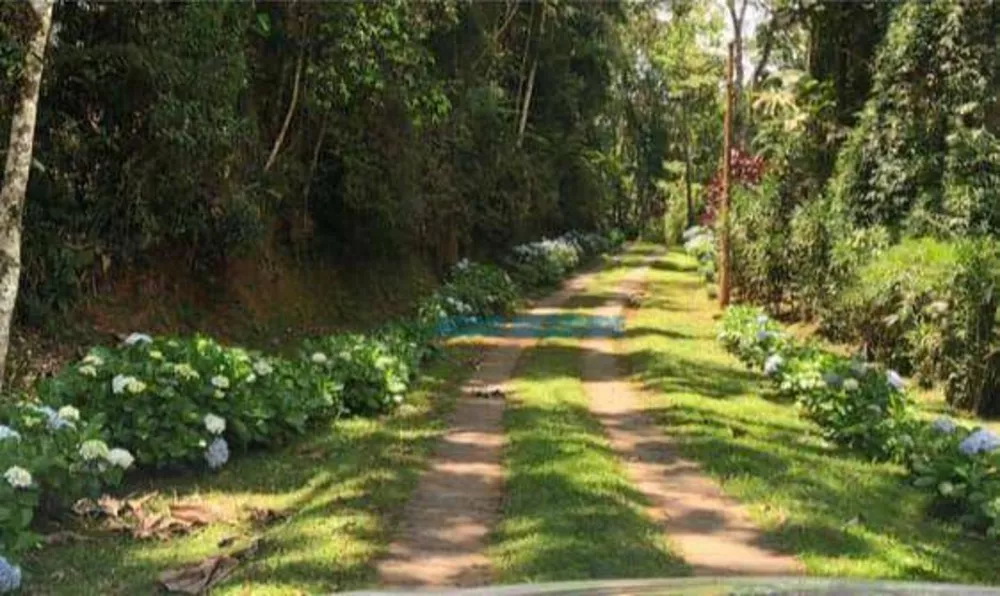 Fazenda, 44 hectares - Foto 3