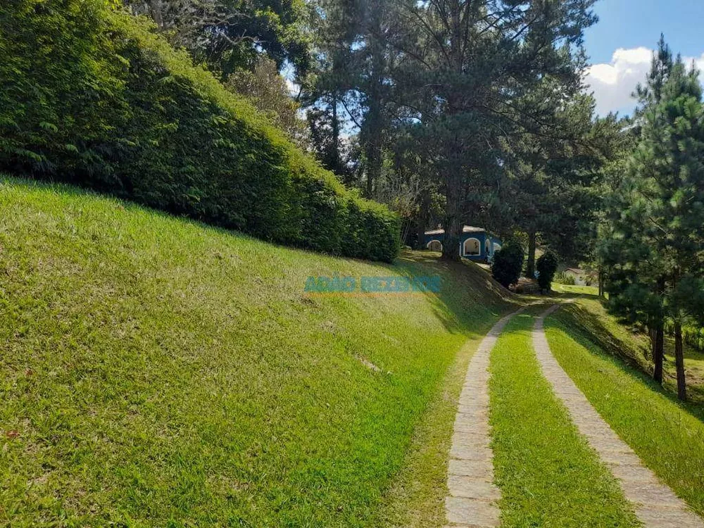 Fazenda, 44 hectares - Foto 4