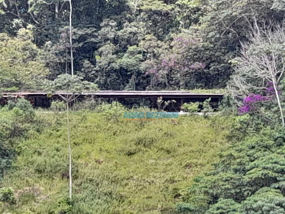 Fazenda, 44 hectares - Foto 38