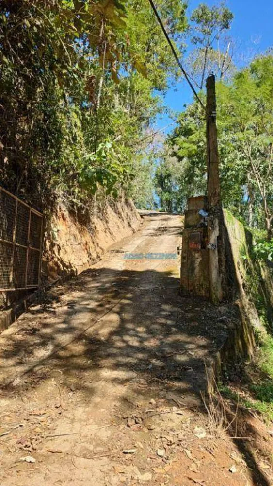 Casa, 3 quartos, 400 m² - Foto 3