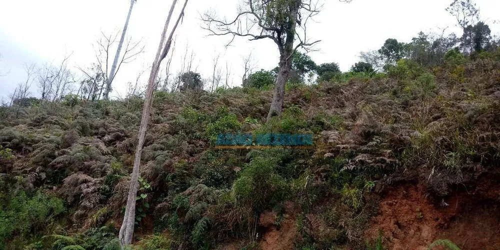 Terreno, 1470 m² - Foto 4