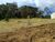 Terreno, 600 m² - Foto 2