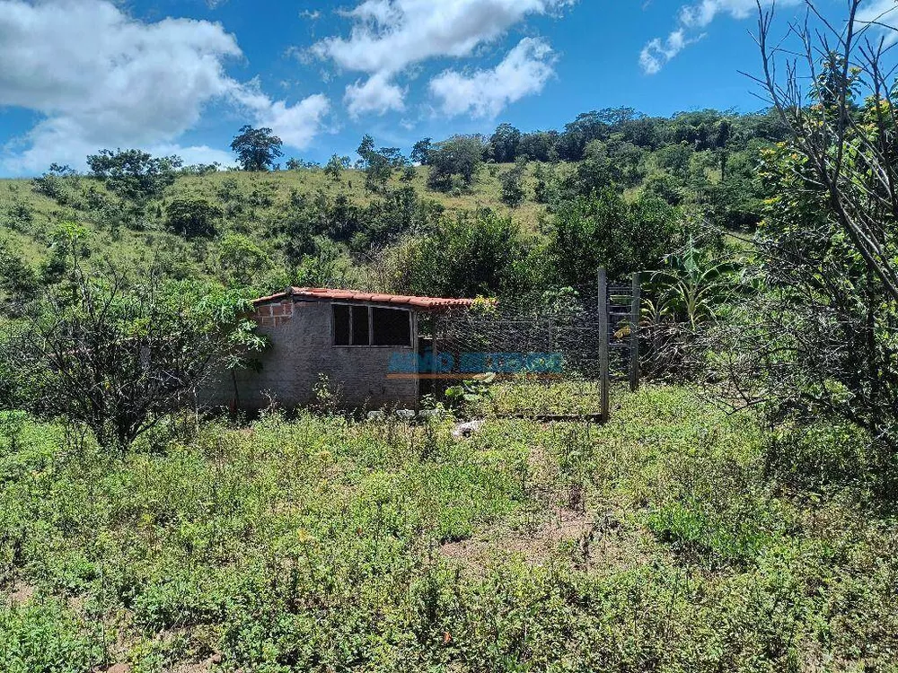 Chácara, 2 quartos, 5335 m² - Foto 6