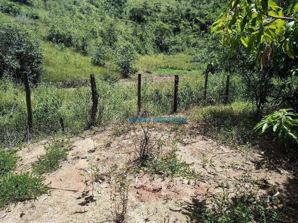 Chácara, 2 quartos, 5335 m² - Foto 17