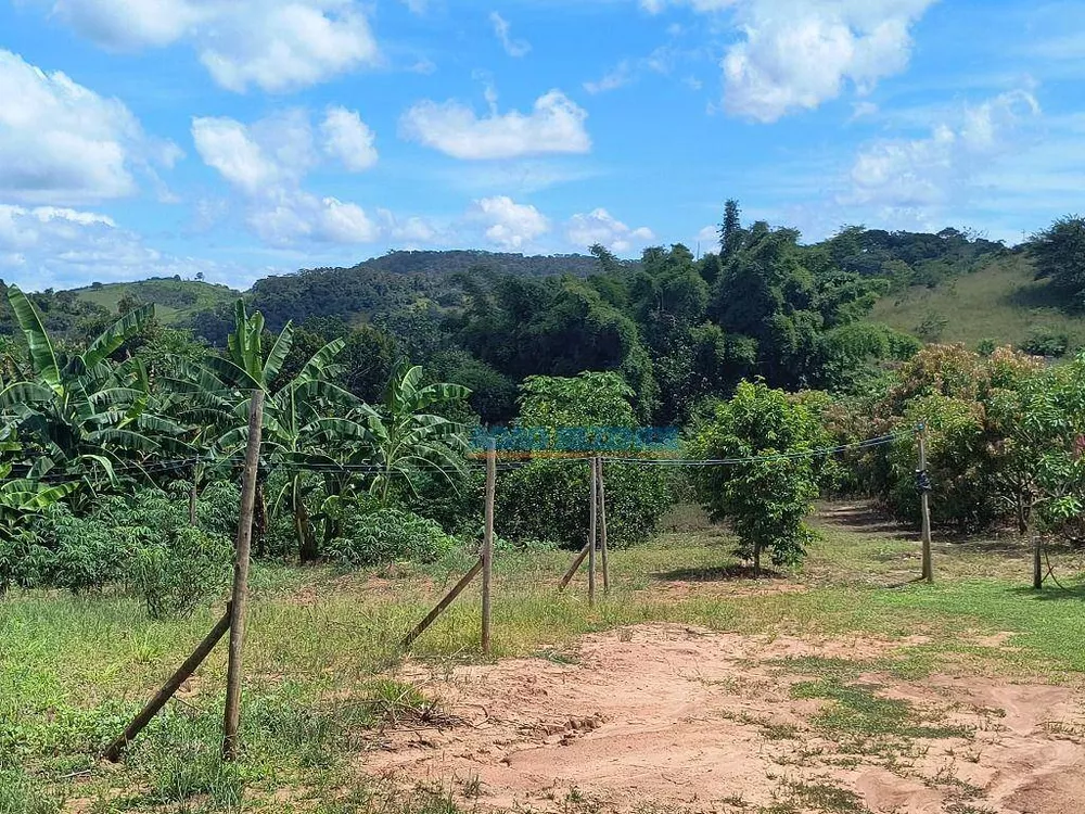 Chácara, 2 quartos, 5335 m² - Foto 19