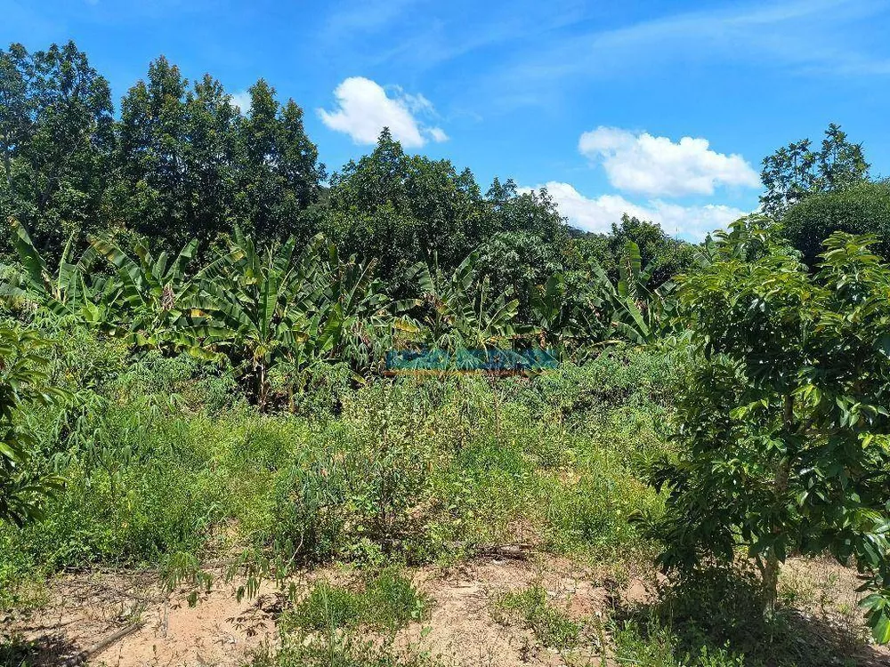 Chácara, 2 quartos, 5335 m² - Foto 27