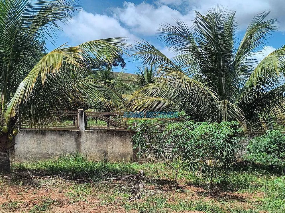 Chácara, 2 quartos, 5335 m² - Foto 29