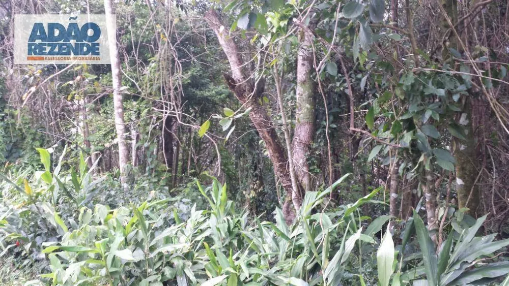 Loteamento e Condomínio, 585 m² - Foto 4