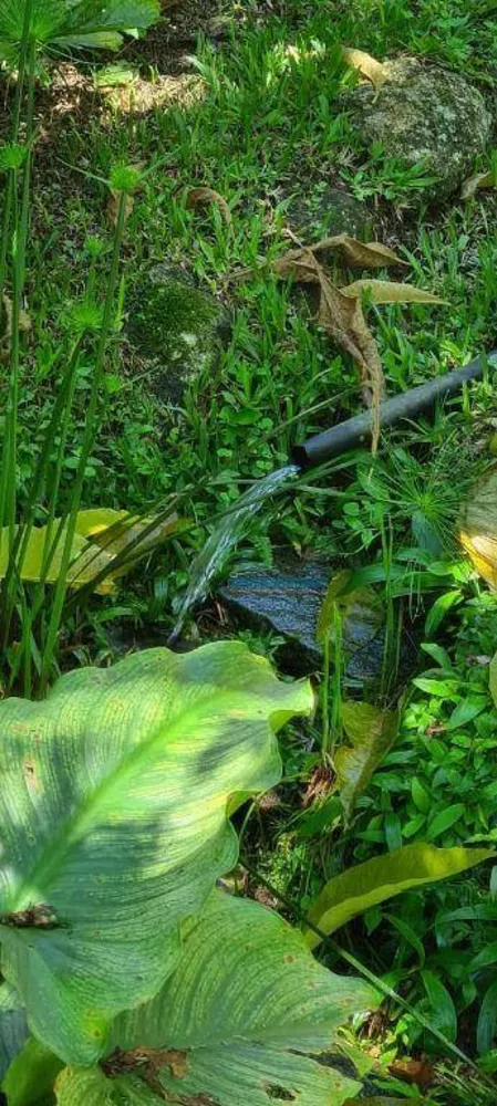 Sítio, 5 quartos, 1 hectares - Foto 26