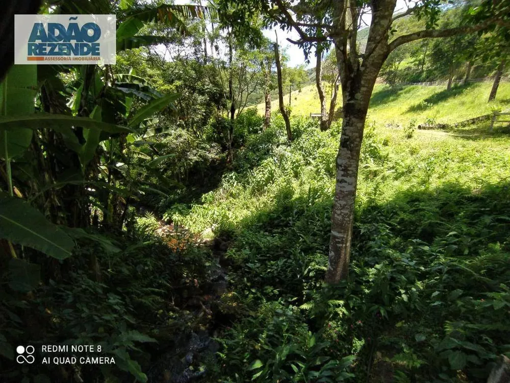 Fazenda, 139 hectares - Foto 7