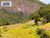 Fazenda, 139 hectares - Foto 2