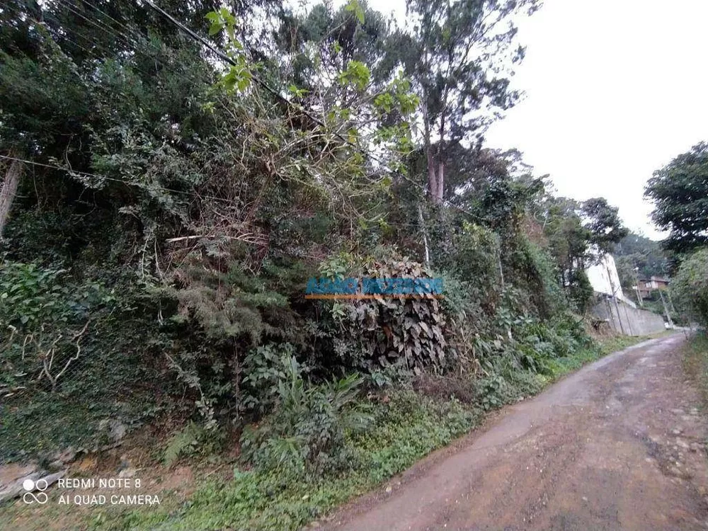 Terreno, 2625 m² - Foto 4