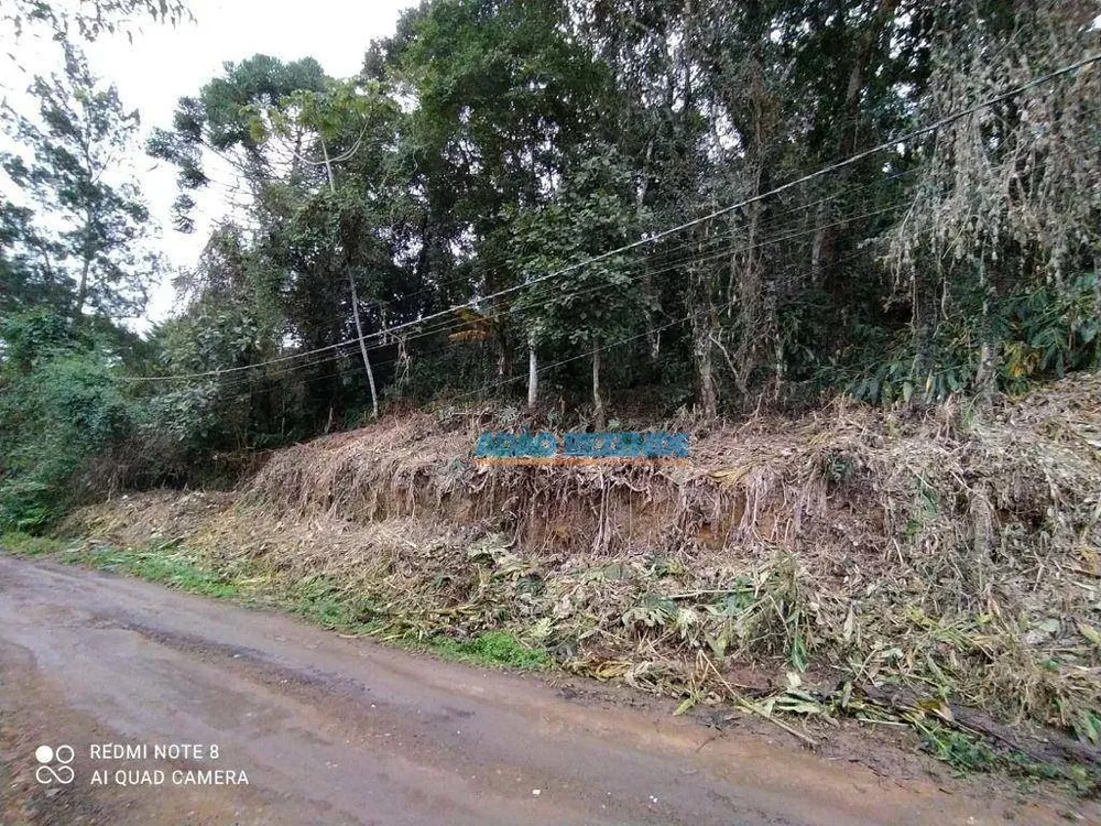 Terreno, 2625 m² - Foto 5