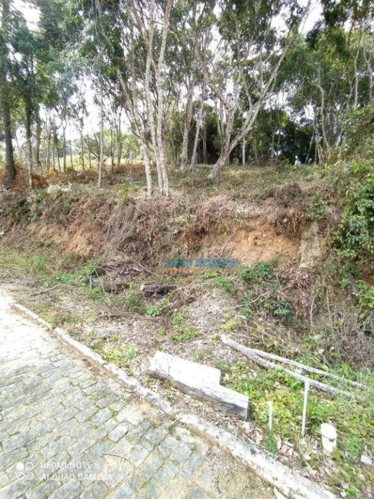 Loteamento e Condomínio, 1335 m² - Foto 5