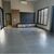 Casa, 3 quartos, 443 m² - Foto 1