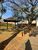 Casa, 4 quartos, 610 m² - Foto 4