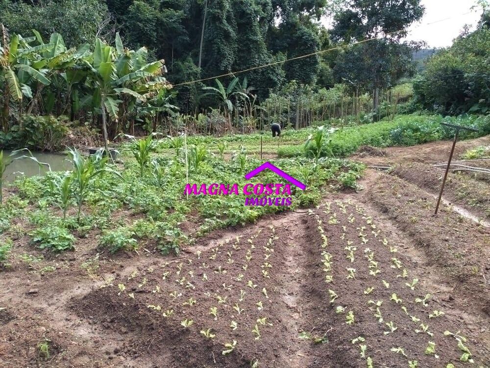 Fazenda, 29 hectares - Foto 7