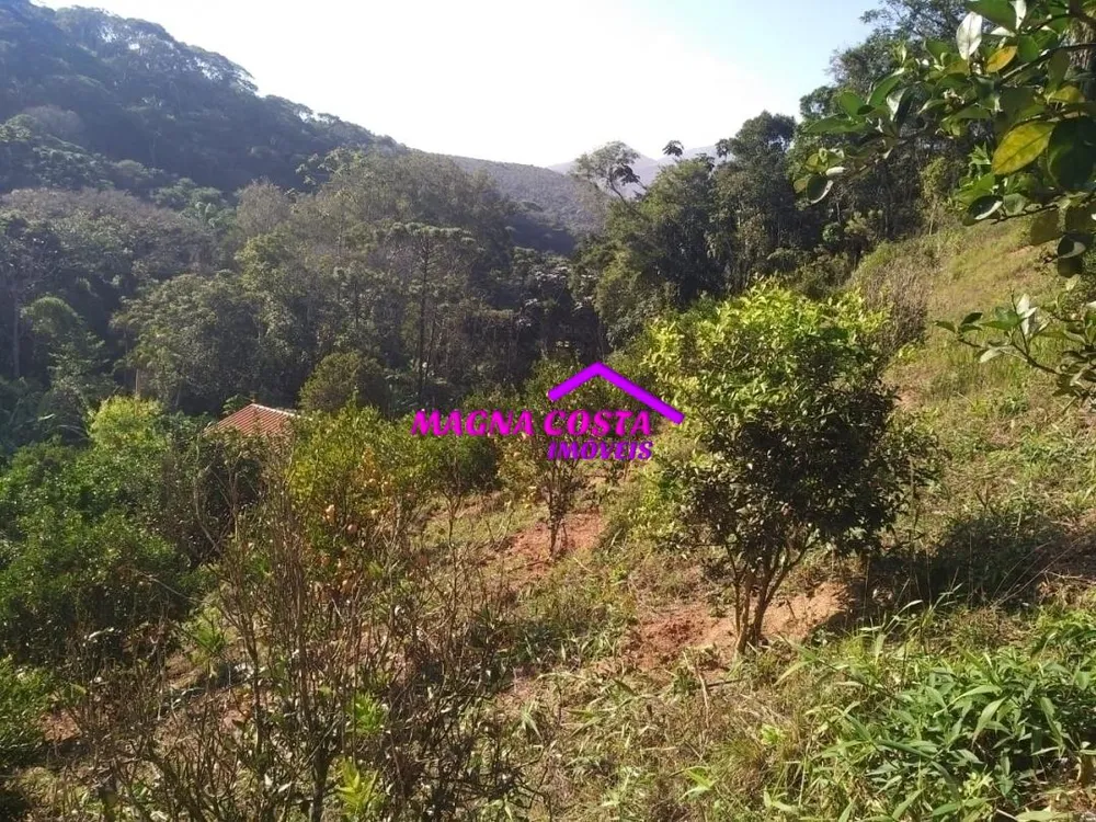 Sítio, 10 quartos, 29 hectares - Foto 17