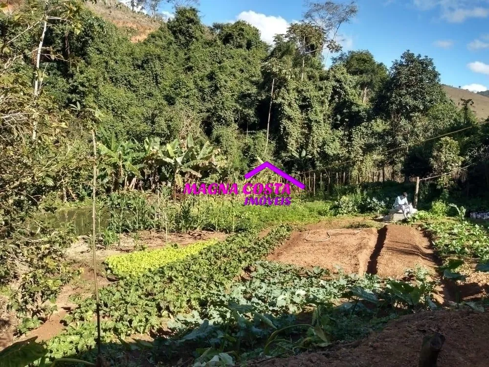 Sítio, 10 quartos, 29 hectares - Foto 14