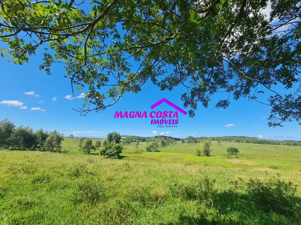 Fazenda, 252 hectares - Foto 19