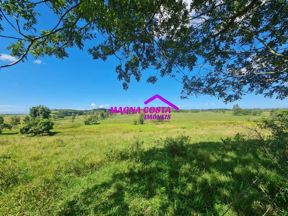 Fazenda, 252 hectares - Foto 10