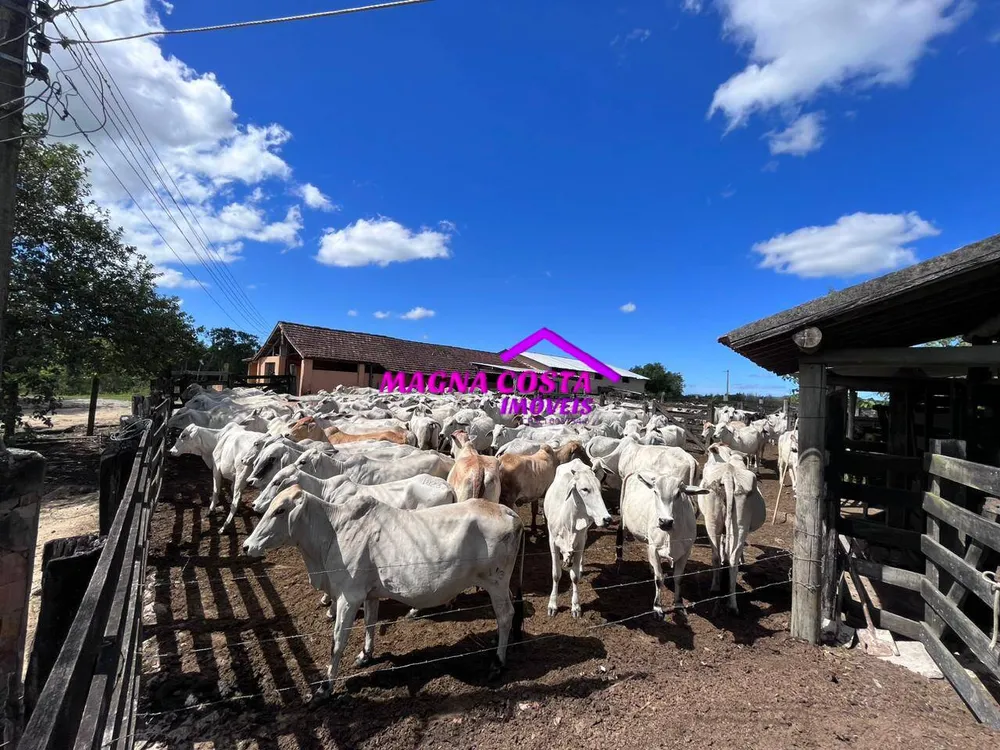 Fazenda, 252 hectares - Foto 3
