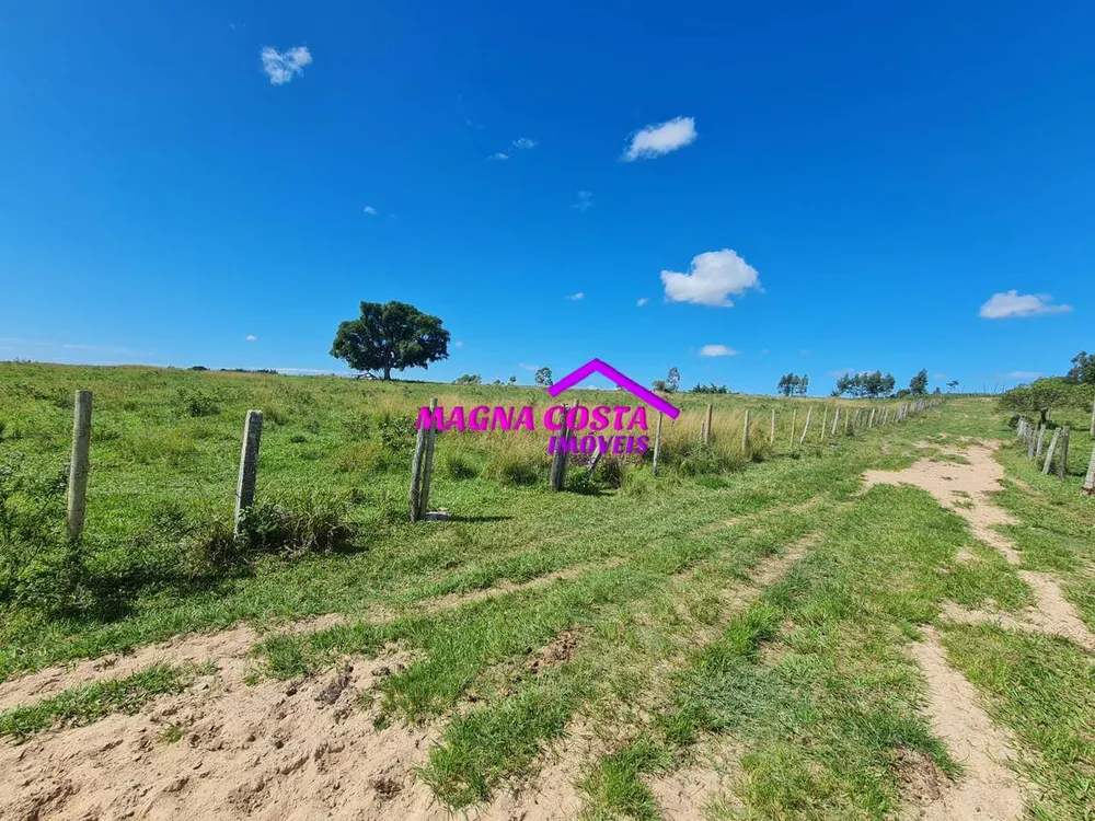 Fazenda, 252 hectares - Foto 17
