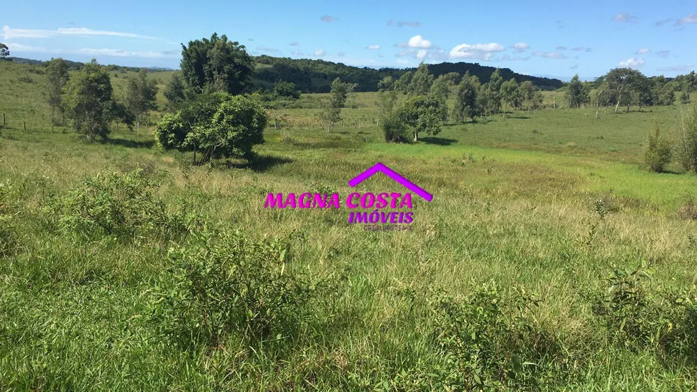 Fazenda, 252 hectares - Foto 8