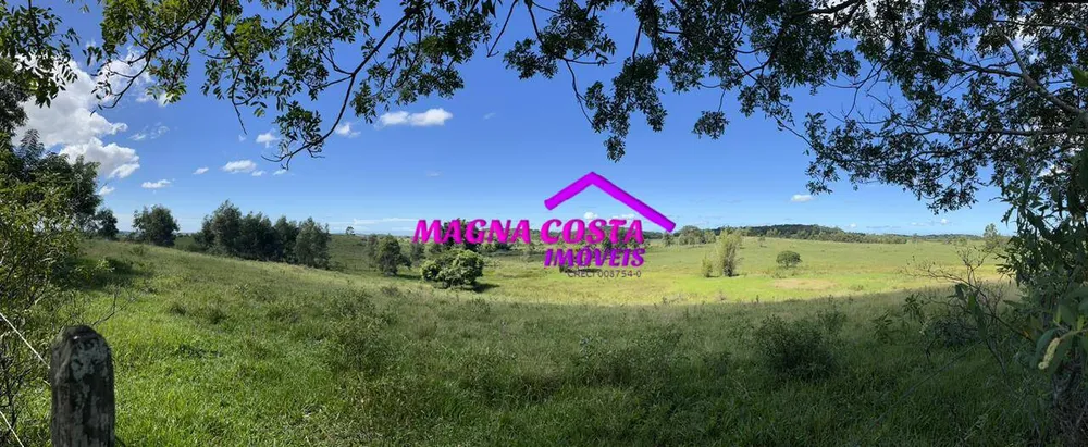 Fazenda, 252 hectares - Foto 13