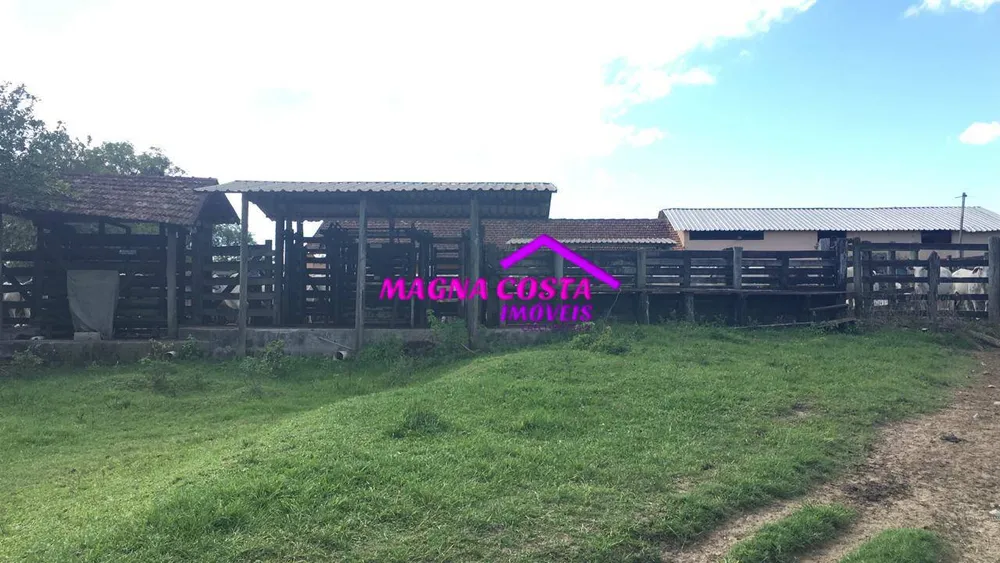 Fazenda, 252 hectares - Foto 12
